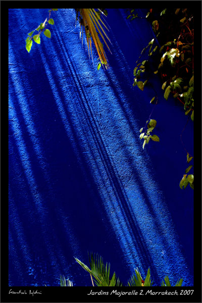 C2336 Majorelle 2