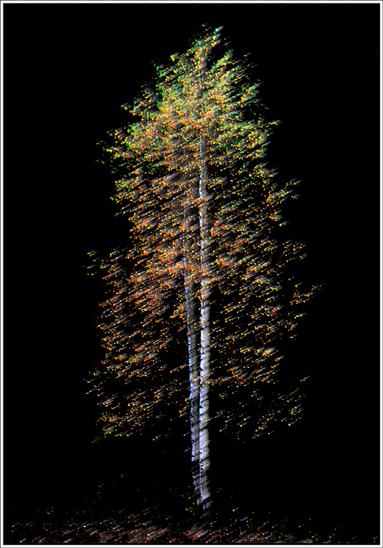 FR 1  Beaulard 2025 70x100