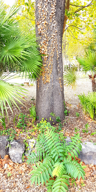 FR 11 Genova 2016 60x120 web
