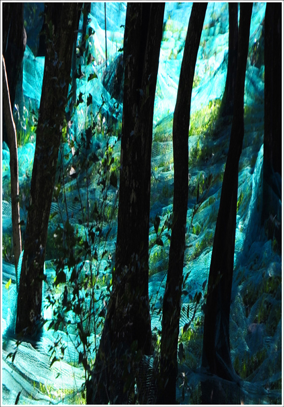 FR 2 Cinqueterre 2008 70x100