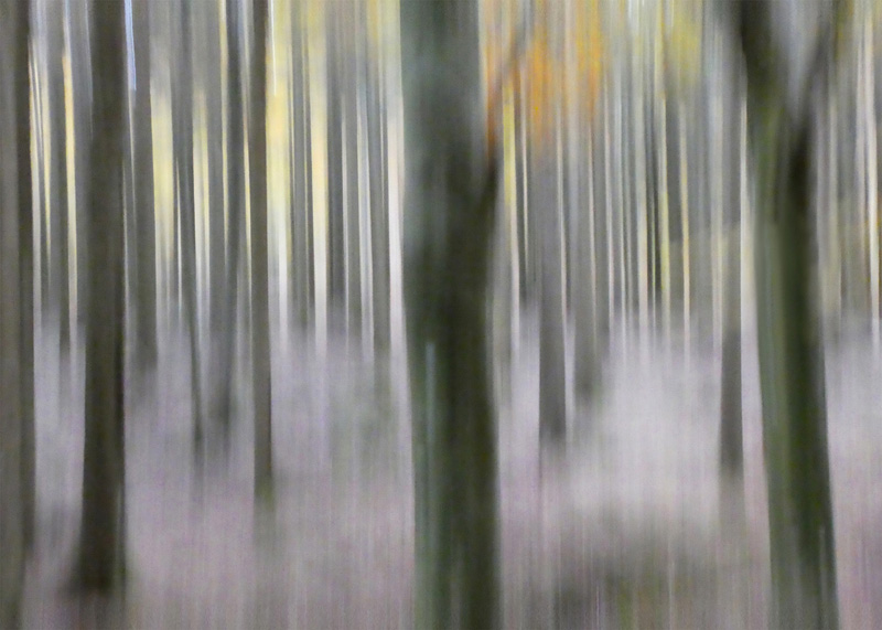 PI 12 Appennino Ligure 2021 1 70x50