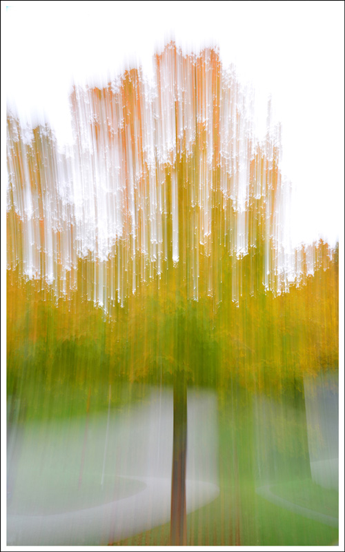 PI 4 Vermont 2019 70x50