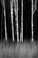 FR 3 Canada 2022 50x70