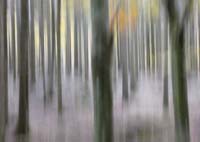 PI 12 Appennino Ligure 2021 1 70x50