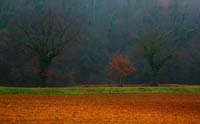 T13 ZOLLE, Monferrato 2020 93x58 web