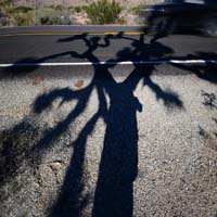 Z5 BLACK CAR  JoshuaTree NP 2018