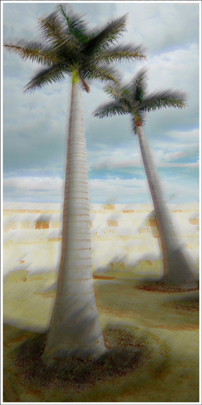 FRAMMENTI RICOMPOSTI 11 Menorca 2025 39x79 su 40x80 in 48x88