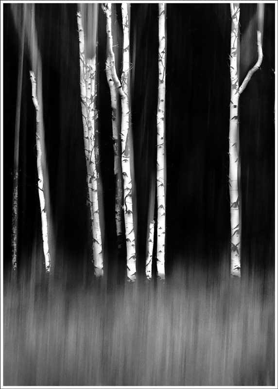 FRAMMENTI RICOMPOSTI 3 Canada 2022 49x69 su 50x70