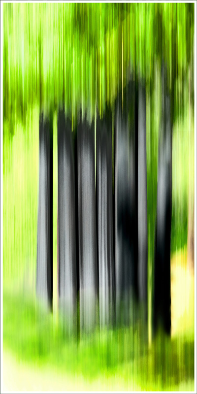 FRAMMENTI RICOMPOSTI 4 Chaumont 2025 39x79 su 40x80