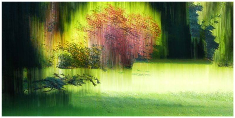 FRAMMENTI RICOMPOSTI 5 Chaumont 2025 39x79 su 40x80 in 48x88