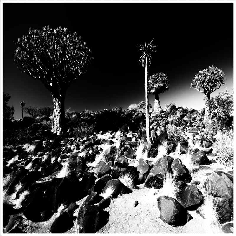 PRESENZA INVISIBILE 8 Namibia 2023 49x49 in 58x58