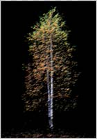 FRAMMENTI RICOMPOSTI 1,  Beaulard 2025 69x99 su 70x100