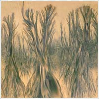 PRESENZA INVISIBILE 5 Lekeitio 2025 50x50 su 58x58