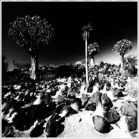 PRESENZA INVISIBILE 8 Namibia 2023 49x49 in 58x58