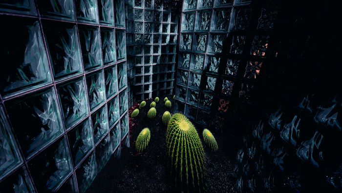 Way02 labyrint_cactus Chianti 2014