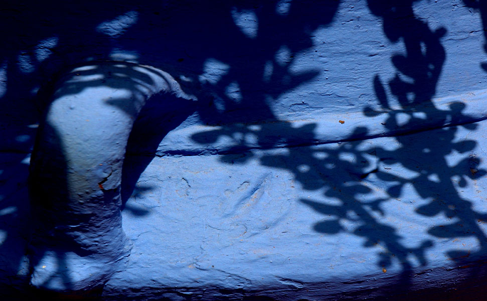 Jardin Majorelle 2 2007