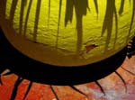 Jardin Majorelle 1 2007_2