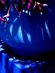 Jardin Majorelle 3 2007