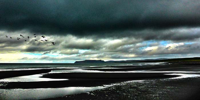 13 Black Beach Iceland 2016 100x50