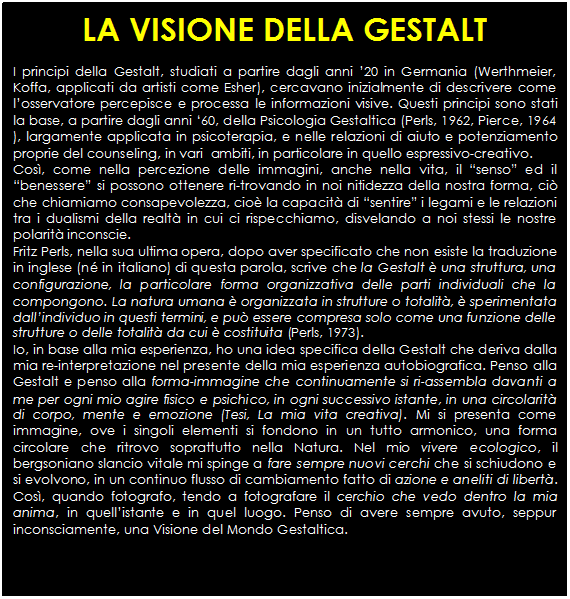 Casella di testo: LA VISIONE DELLA GESTALT

I principi della Gestalt, studiati a partire dagli anni 20 in Germania (Werthmeier, Koffa, applicati da artisti come Esher), cercavano inizialmente di descrivere come losservatore percepisce e processa le informazioni visive. Questi principi sono stati la base, a partire dagli anni 60, della Psicologia Gestaltica (Perls, 1962, Pierce, 1964 ), largamente applicata in psicoterapia, e nelle relazioni di aiuto e potenziamento proprie del counseling, in vari  ambiti, in particolare in quello espressivo-creativo. 
Cos, come nella percezione delle immagini, anche nella vita, il senso ed il benessere si possono ottenere ri-trovando in noi nitidezza della nostra forma, ci che chiamiamo consapevolezza, cio la capacit di sentire i legami e le relazioni tra i dualismi della realt in cui ci rispecchiamo, disvelando a noi stessi le nostre polarit inconscie.
Fritz Perls, nella sua ultima opera, dopo aver specificato che non esiste la traduzione in inglese (n in italiano) di questa parola, scrive che la Gestalt  una struttura, una configurazione, la particolare forma organizzativa delle parti individuali che la compongono. La natura umana  organizzata in strutture o totalit,  sperimentata dallindividuo in questi termini, e pu essere compresa solo come una funzione delle strutture o delle totalit da cui  costituita (Perls, 1973).
Io, in base alla mia esperienza, ho una idea specifica della Gestalt che deriva dalla mia re-interpretazione nel presente della mia esperienza autobiografica. Penso alla Gestalt e penso alla forma-immagine che continuamente si ri-assembla davanti a me per ogni mio agire fisico e psichico, in ogni successivo istante, in una circolarit di corpo, mente e emozione (Tesi, La mia vita creativa). Mi si presenta come immagine, ove i singoli elementi si fondono in un tutto armonico, una forma circolare che ritrovo soprattutto nella Natura. Nel mio vivere ecologico, il bergsoniano slancio vitale mi spinge a fare sempre nuovi cerchi che si schiudono e si evolvono, in un continuo flusso di cambiamento fatto di azione e aneliti di libert. Cos, quando fotografo, tendo a fotografare il cerchio che vedo dentro la mia anima, in quellistante e in quel luogo. Penso di avere sempre avuto, seppur inconsciamente, una Visione del Mondo Gestaltica.

