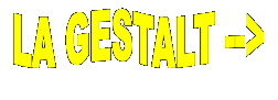 Casella di testo:   