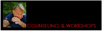 Casella di testo:   COUNSELING & WORKSHOPS