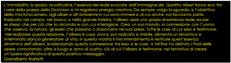 Casella di testo: Limmobilit, lo spazio, la solitudine, lessenza del reale evocate dallimmagine dei  Quattro Alberi fanno eco tra 
i versi della poesia della Dickinson e mi regalano energia creativa. Da sempre volgo lo sguardo, e lobiettivo 
della mia fotocamera, agli alberi e allambiente in cui sono immersi e di cui anche noi facciamo parte. 
Radicato nel campo, nel bosco, o nella grande foresta, lalbero apre uno spazio di esistenza reale sia per 
se stesso che per ci che lo circonda e con cui interagisce. Crea un suo mondo, in connessione con luomo 
che osserva, la natura, gli esseri che passano o stazionano nei suoi pressi, tutte le cose di cui esso  testimone.
 Nel realizzare questa relazione, lalbero  cosa viva e, pur radicato e stabile, alimenta un dinamico e 
interminato slancio generatore di vita. In questa mostra il mio intendimento  restituire questessenza
dinamica dellalbero, evidenziando questa connessione tra esso e le cose. A tal fine ho definito i titoli delle
opere connotando, oltre a luogo e anno di scatto, ci di cui lalbero  testimone, nel tentativo di creare 
unopera significativa di questo poetico messaggio. 
Gianalberto Righetti
