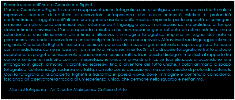 Casella di testo: Presentazione dellArtista Gianalberto Righetti
Lartista Gianalberto Righetti crea una rappresentazione fotografica che si configura come unopera di forte valore espressivo, capace di restituire allosservatore unesperienza che unisce intensit estetica e profondit contenutistica. Il soggetto dellalbero, protagonista assoluto della mostra, sorprende per la capacit di coniugare armonia formale e forza comunicativa, trasformando il linguaggio visivo in unesperienza naturalistica, al tempo stesso intima e universale. Lartista approda a risultati che non appartengono soltanto alla sfera estetica, ma si estendono a una dimensione pi intima e riflessiva. Limmagine fotografica imprime un segno destinato a permanere, invitando losservatore a un coinvolgimento attivo e consapevole. Attraverso il suo linguaggio intimo e originale, Gianalberto Righetti  trasforma tecnica e potenza del mezzo in gesto naturale e respiro; ogni scatto nasce con immediatezza, come se fosse un frammento di vita e sentimento. Si tratta di opere fotografiche frutto di studio approfondito, progetto consapevole e padronanza tecnica raffinata; in questo dialogo si manifesta il rapporto tra uomo e ambiente, restituito con uninterpretazione unica e priva di artifici. Le luci silenziose si accendono e si infrangono in giochi armonici, vibranti ed espressivi, fino a diventare del tutto uniche. I colori animano lo spazio fotografico, conferendogli sostanza e vitalit, non solo come descrizione, ma come veicolo di profondi contenuti. Cos la fotografia di Gianalberto Righetti si trasforma in poesia visiva, dove immagine e contenuto coincidono, lasciando allosservatore la traccia di unesperienza unica, che permane nello sguardo e nellanimo.
  
     Monia Malinpensa - Art Director Malinpensa Galleria dArte
