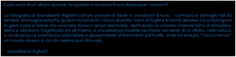 Casella di testo: Cosa resta di un albero quando lo sguardo si avvicina fino a dissolverne i contorni?
La fotografia di Gianalberto Righetti cattura porzioni di alberi in condizioni di luce,   contrasto e dettaglio tali da rendere l'immagine astratta, quasi in movimento, nel suo divenire. I rami, le foglie e le forme arboree si scompongono in gesti, colori e trame che evocano il bosco senza descriverlo, restituendo un universo interiore fatto di atmosfere, silenzi e vibrazioni. Il significato sta allinterno,  una presenza invisibile racchiusa nel verde di un albero, nella natura, in un dinamico e interminato assemblare e disassemblare di frammenti, particelle, onde ed energia, raccontando un mondo diverso in cui chi osserva pu ritrovarsi.
   Gianalberto Righetti
