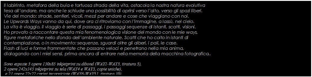 Text Box: Il labirinto, metafora della buia e tortuosa strada della vita, ostacola la nostra natura evolutiva
tesa allandare, ma anche le schiude una possibilit di aprirsi verso lalto, verso gli spazi liberi.
Vie del mondo: strade, sentieri, vicoli, mezzi per andare e cose che viaggiano con noi. 
Le Upwards Ways vanno da qui, dove ora ci ritroviamo con limmagine, a lass, nel cielo. 
La vita  viaggio, il viaggio  serie di passaggi, i passaggi sequenze di istanti, scatti, visioni. 
Ho provato a raccontare questa mia fenomenologica visione del mondo con le mie ways, 
figure metaforiche nello sfondo dellambiente naturale. Scatti che ho colto in istanti di 
contemplazione, o in movimento: sequenze, sguardi oltre gli alberi, i pali, le case. 
Flash di luci e forme frammentate che passano veloci e penetrano nella mia anima,
dialogando con i miei sensi, prima ancora di entrare nella memoria della macchina fotografica..

Sono esposte 3 opere 150x85 inkjetprint su dibond (WAY1-WAY3, tiratura 3),
2 opere 242x145 inkjetprint su tela (WAY4 e WAY5, copie uniche),
 e 21 opere 22x22 cprint incorniciate (WAY6-WAY31, tiratura 10) 

