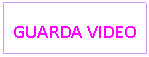 Text Box: GUARDA VIDEO
