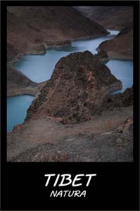 060 Frontpage Tibet Natura